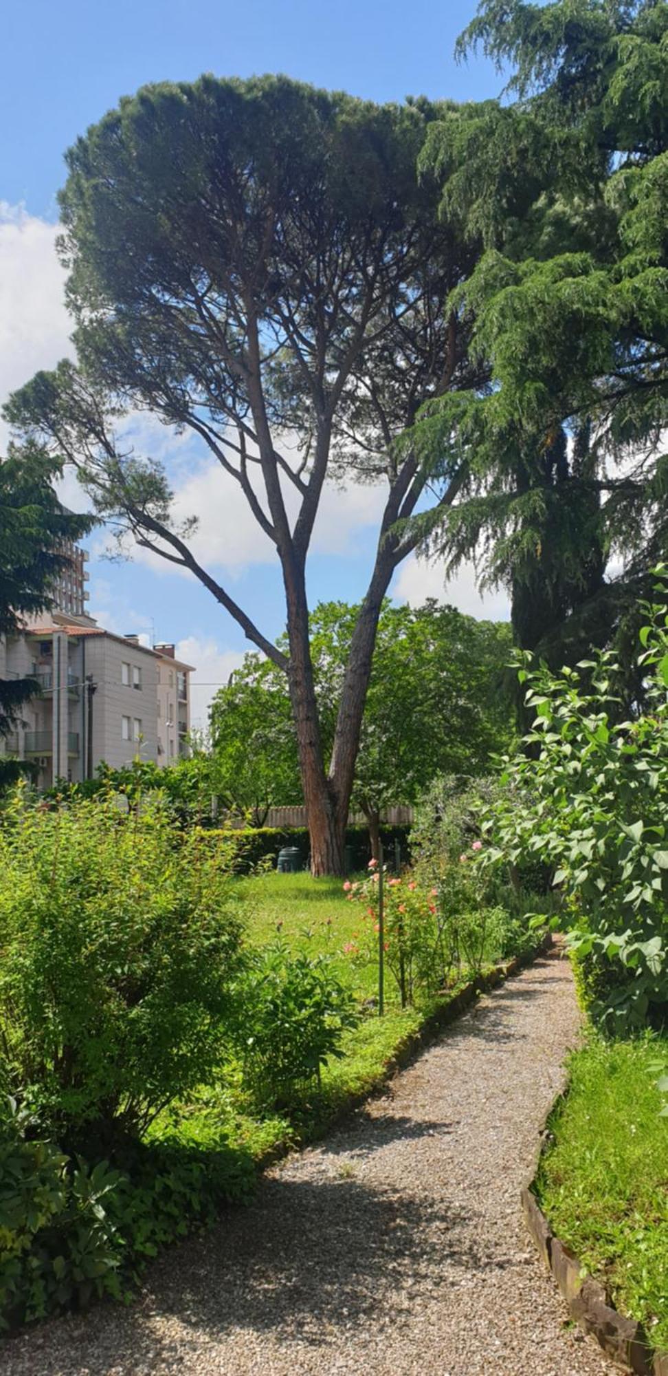 Alejlop Apartment Gorizia Exteriör bild
